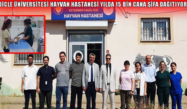Dicle Üniversitesi'nden Hayvan Sağlığında Teknoloji Devrimi: İnsan Hastanelerini Aratmıyor