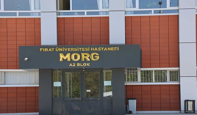 Tunceli’de İnşaat Faciası: Üzerine Beton Blok Düşen İşçi Hayatını Kaybetti