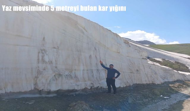 Bölge