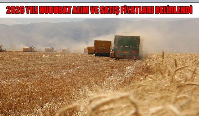 Muş Ovası’nda hasat heyecanı: TMO 2026 hububat alım fiyatları belli oldu