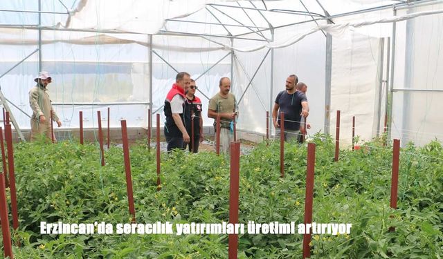Erzincan’da seracılık yatırımları üretimi artırıyor