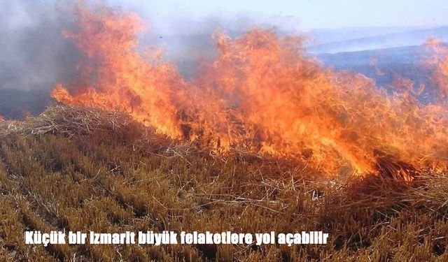Küçük bir izmarit büyük felaketlere yol açabilir