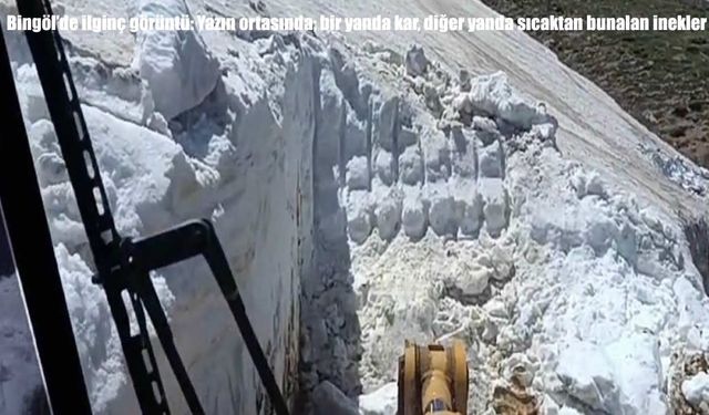Aynı gün iki mevsim: Bingöl'de yükseklerde kar, ovalarda yaz sıcağı