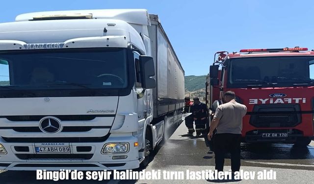 Bingöl’de seyir halindeki tırın lastikleri alev aldı