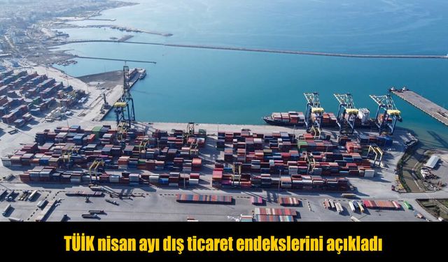 TÜİK nisan ayı dış ticaret endekslerini açıkladı