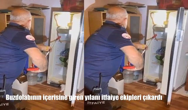 Buzdolabının içerisine giren yılanı itfaiye ekipleri çıkardı