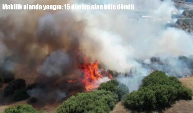 Manisa'da makilik alanda yangın: 15 dönüm küle döndü