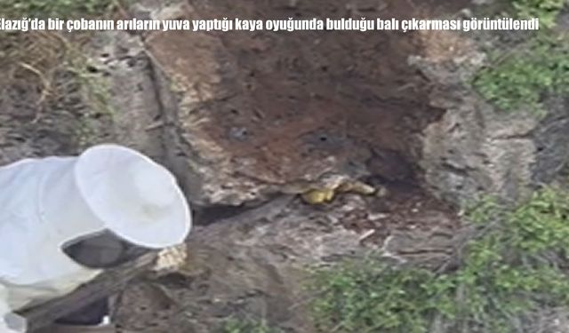 Bölge