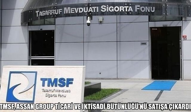 TMSF’den Assan Group için satış kararı: İhale tarihi belli oldu