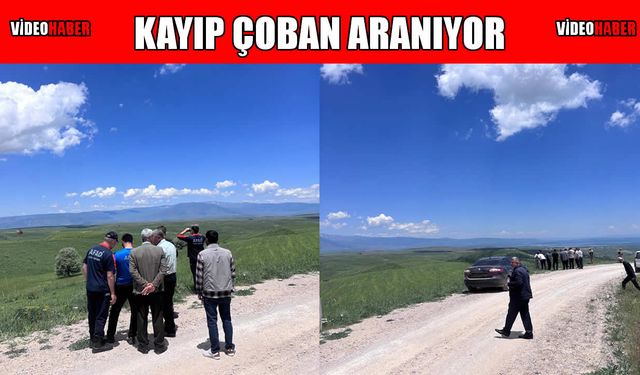Muş’ta kayıp çoban için arama çalışması başlatıldı