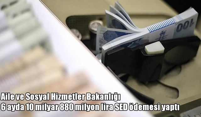 İhtiyaç sahibi ailelere dev destek: 6 ayda 10 milyar 880 milyon TL ödendi