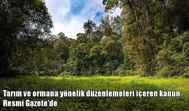 Resmi Gazete’de yayımlandı: Tarım ve orman yeni dönem