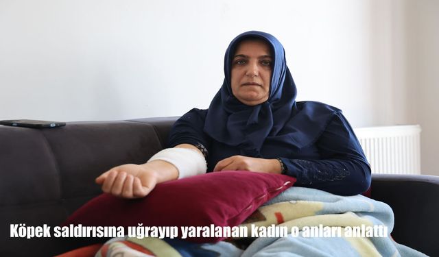 Elazığ'da köpek saldırısına uğrayan kadın yaşadığı dehşeti anlattı