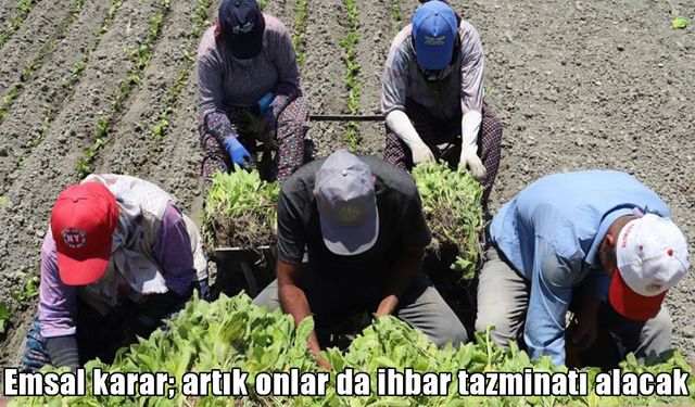 Yargıtay’dan emsal karar: Ev hizmetleri ve tarım işçilerine ihbar tazminatı hakkı