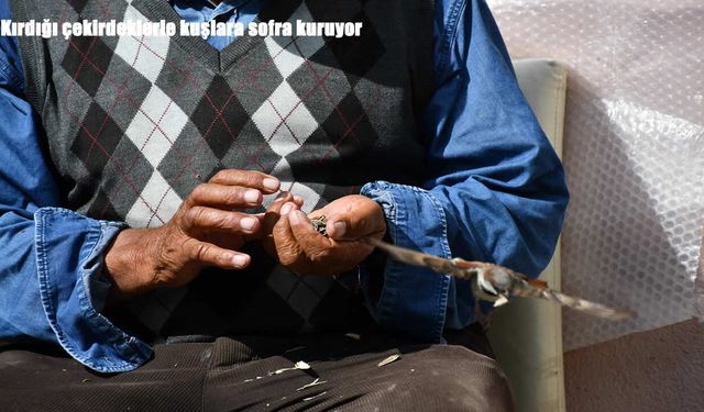 Kırdığı çekirdeklerle kuşlara sofra kuruyor