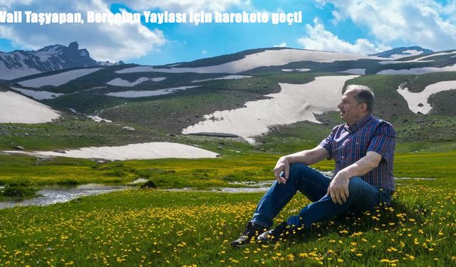 Vali Taşyapan, Berçelan Yaylası için harekete geçti