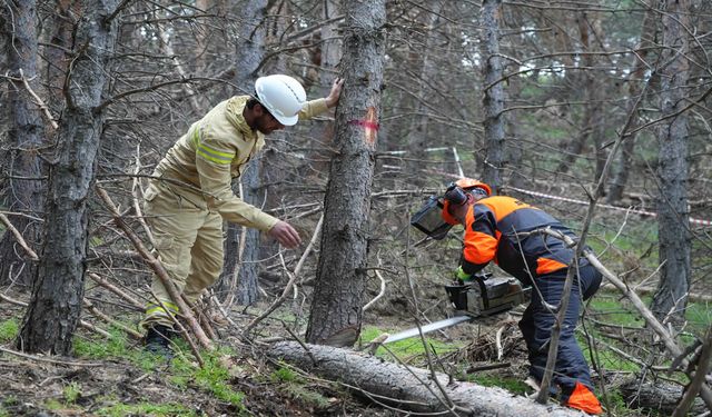 Erzurum'un akciğerlerine planlı dokunuş