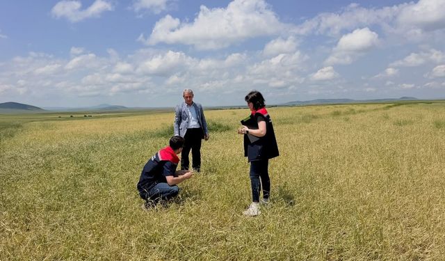 Kars'ta fırtına ve dolunun vurduğu köylerde hasar tespiti başladı