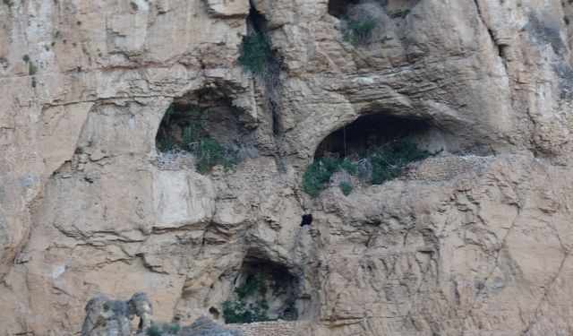 Malatya'da mağarada insan kemikleri bulundu