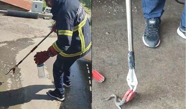 Hakkari’de aracın motor bölmesine giren yılan çıkarıldı