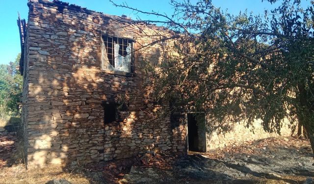 Pütürge'de Yangın Paniği: 2 Ev ve 20 Dönümlük Alan Zarar Gördü