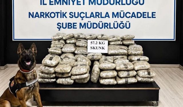 Hakkari'de 57 Kilo Skunk Ele Geçirildi: 1 Gözaltı