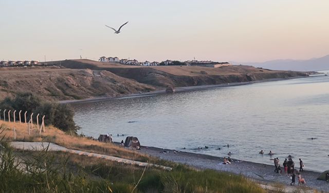Van'da mavi bayraklı sahilde 'siyah' alarm