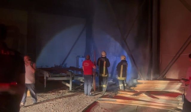 Erzincan'da kereste dükkânında yangın