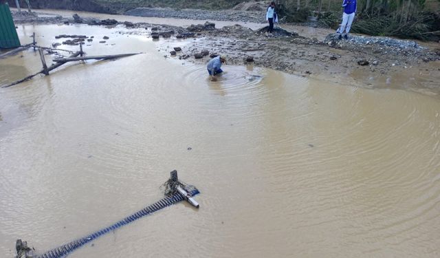 Tekman'da sel felaketi: Evler ve araziler sular altında kaldı