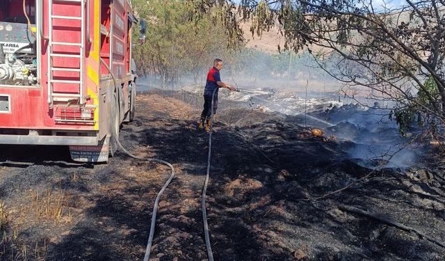 Bölge