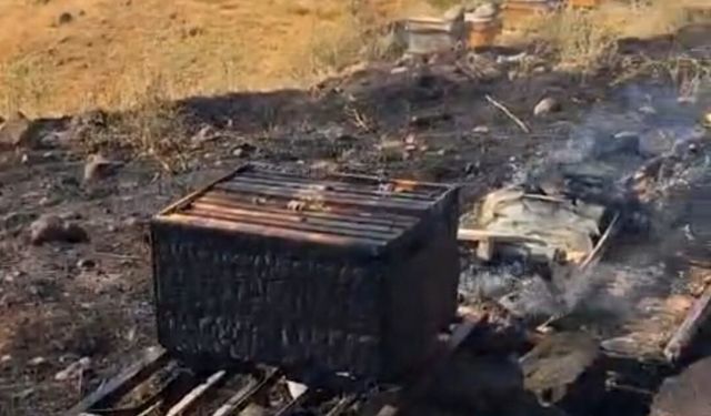 Bingöl’de 25 arı kovanı yakıldı