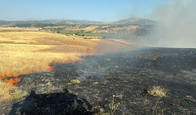 Bingöl’de arazi yangını ekiplerin müdahalesiyle söndürüldü