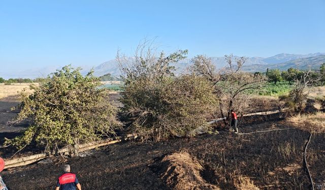 Erzincan'da tarla yangını büyümeden söndürüldü