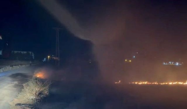 Elazığ’da arazi yangını