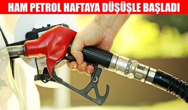 Ham petrol geriledi, Vietnam'da akaryakıt fiyatları sert düştü
