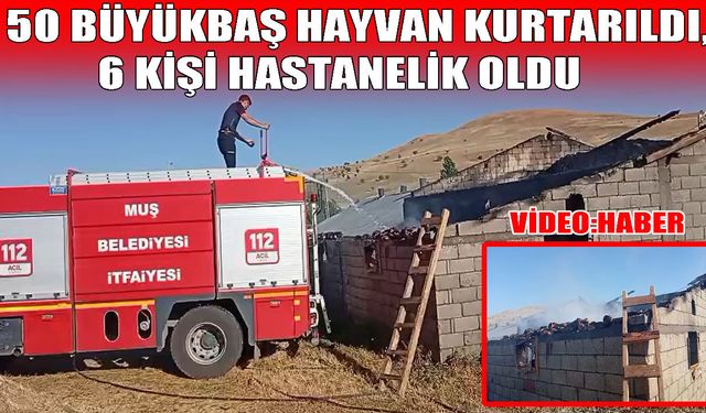 Korkut’ta ahır yangını: 6 kişi hastaneye kaldırıldı