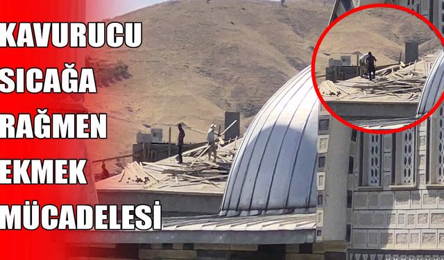 Muş'ta güneş altında ekmek mücadelesi