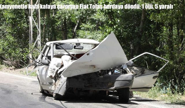 Tunceli'de kamyonetle Tofaş kafa kafaya çarpıştı: 1 ölü, 2'si çocuk 5 yaralı