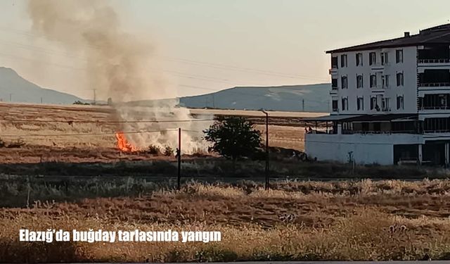 Elazığ'da buğday tarlasında yangın: Ekipler seferber oldu
