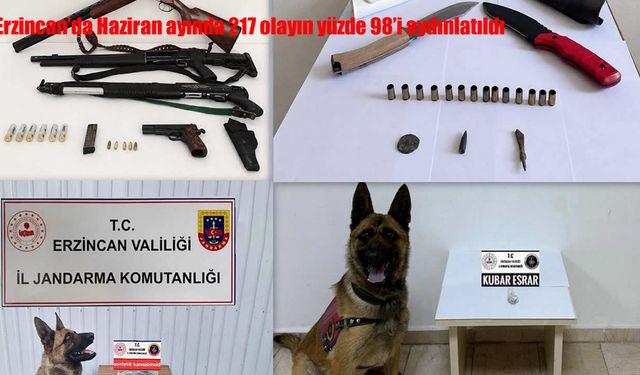 Erzincan'da Haziran ayında 217 olayın yüzde 98'i aydınlatıldı