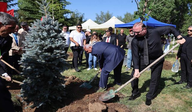 10. yılda 10 yetişkin ağaç toprakla buluştu