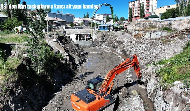 DSİ'den Ağrı taşkınlarına karşı alt yapı hamlesi