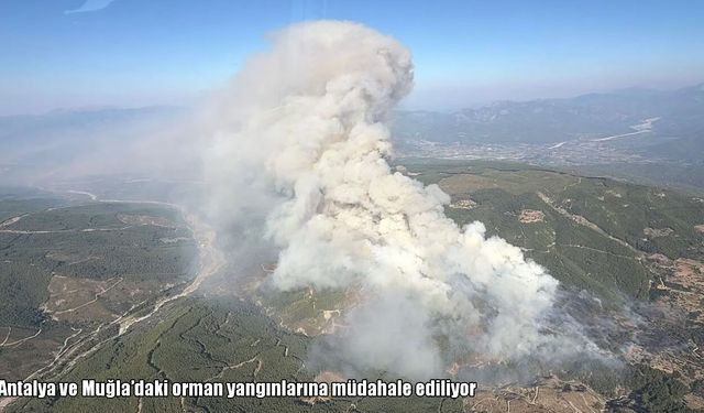 Antalya ve Muğla’da orman yangını: Havadan ve karadan müdahale sürüyor