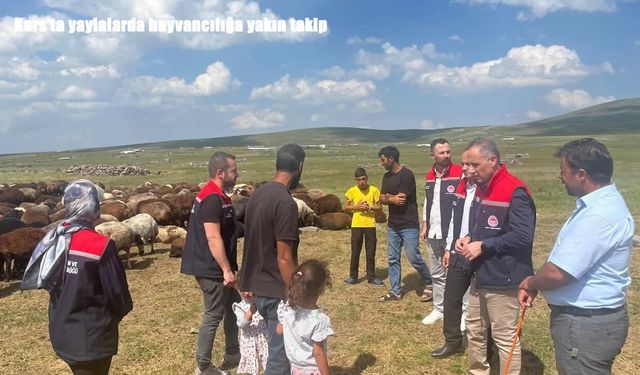 Kars'ta yaylalarda hayvancılığa yakın takip