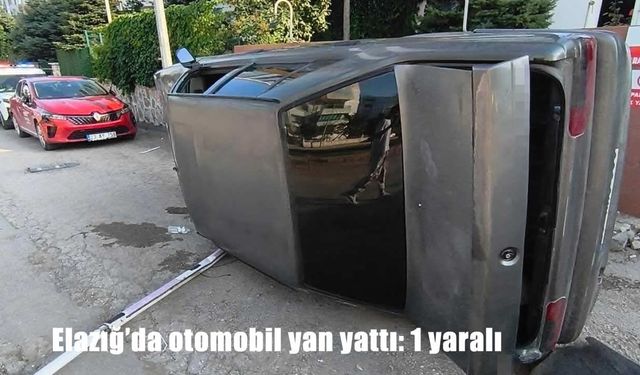 Bölge