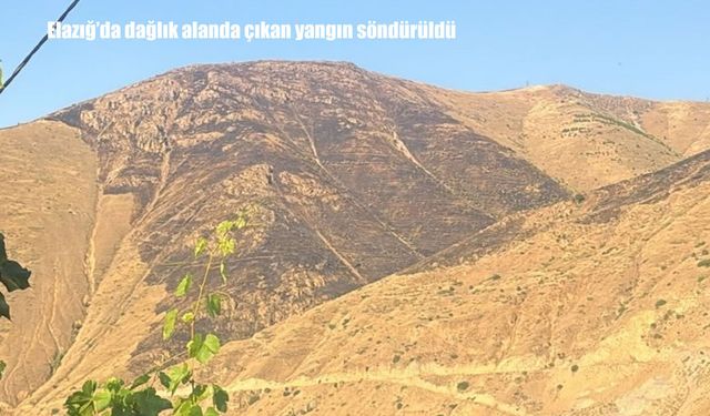 Elazığ'da dağlık alanda çıkan yangın 15 saatte söndürüldü