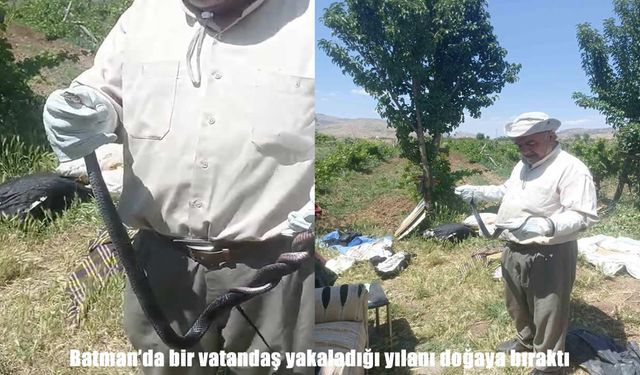 Batman’da bir vatandaş yakaladığı yılanı doğaya bıraktı