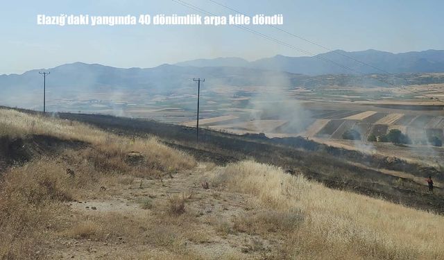 Elazığ’daki yangında 40 dönümlük arpa küle döndü