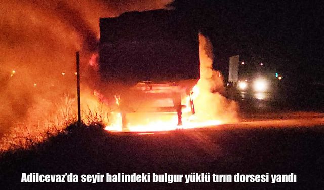 Adilcevaz'da seyir halindeki bulgur yüklü tırın dorsesi yandı