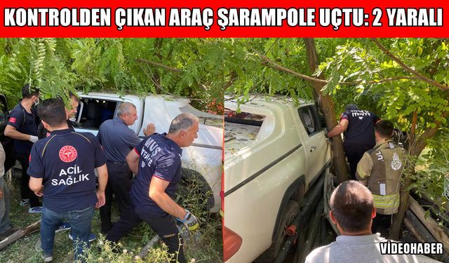 Muş-Bingöl kara yolunda araç şarampole uçtu: 2 kişi yaralandı